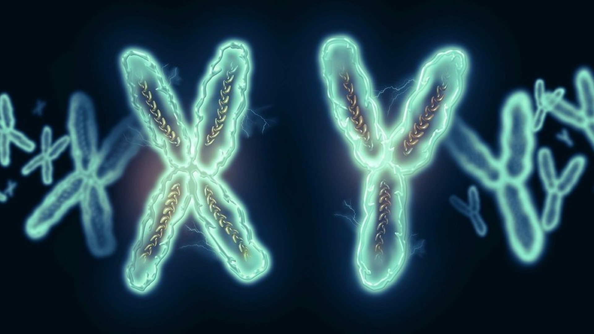 Х-хромосомы